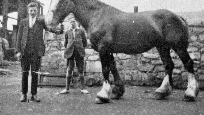 Appleyards Horse ... Pictured behind horse is George Appleyard (Harry's Dad)